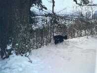 Sofus having fun in the snow at Reime...